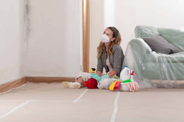 Reliable Crawl Space Mold Removal contractor in Stephens City, VA by WQB Mold Removal